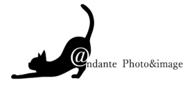 andante (アンダンテ)